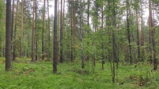 Alone in the Woods with the Punishment Equipment, Daddy Squirts the Electric Load.