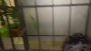 Curious Straight Guy Fucks His Young Gay Neighbor Bareback, Leaves His Ass Open and Cums Inside His Tight Ass