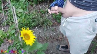Outdoor guy pollinates a sunflower