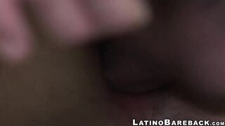 Latino twink barebacked balls deep after sucking a hard cock