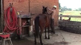 musle straight farmer fucking in exhib in the farm outdoor