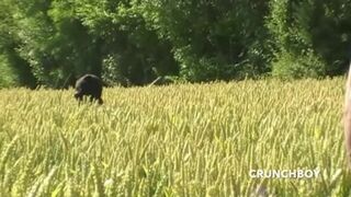 171 young latino twink fucked b yhis friend in exhib place