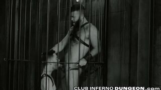 Fuck Yourself On My Fist Hairy Fetish Daddy