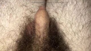 Little limp uncut dick hiding in my foreskin and very hairy pubes