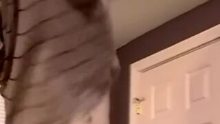 Amateur stud Shaggy jerking off before cumming solo