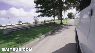 BAIT BUS - Ditching Straight Bait In The Middle Of Nowhere (Compilation)