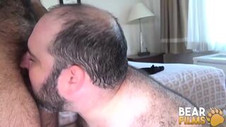 Burly Bear Barebacks Obese Bottom Lover