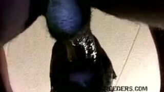 Black Monster Cock