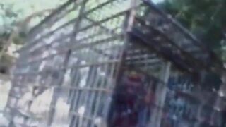 Sex captive hammered in the ass at the woods