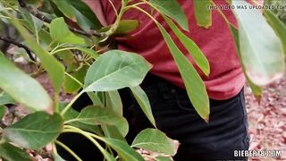 Gay sex among the avocado trees