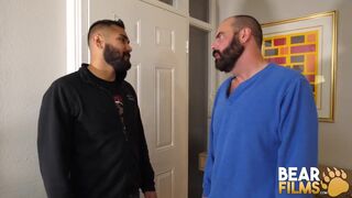 Bear Hairy Bears Steve Sommers And Avi Strider Bareback