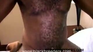 California Love, Part 1